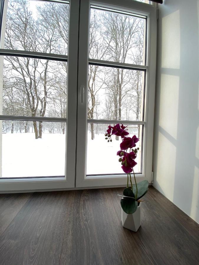 Vabriku 6 Apartment With Sauna Rakvere Exteriér fotografie